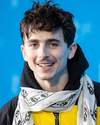 Fotografia de Timothée Chalamet