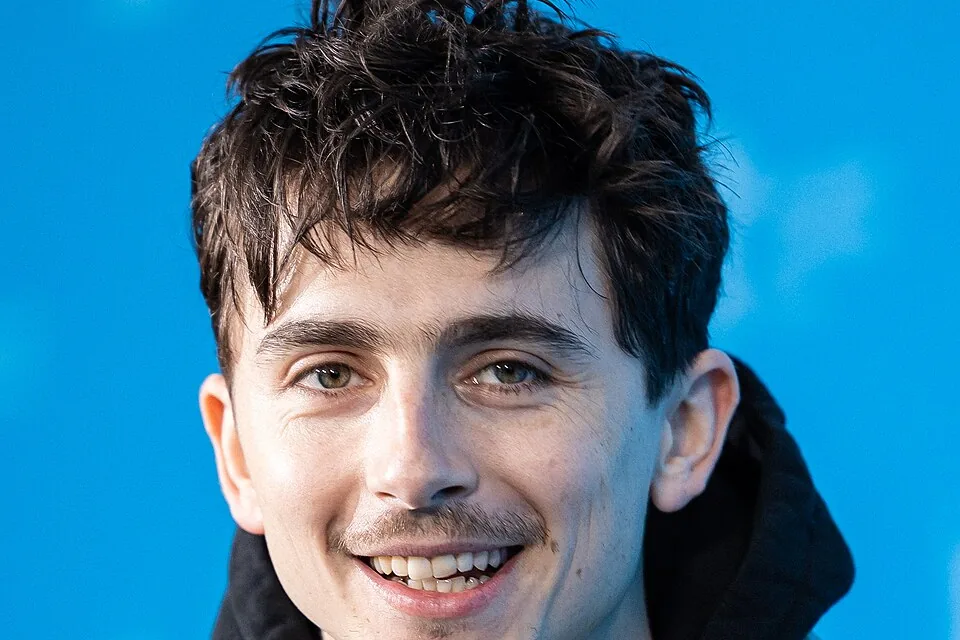 Fotografia de Timothée Chalamet